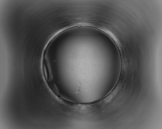 X0000094820910200711161525