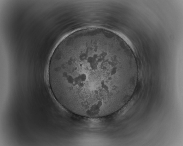 X0000094820911200711161525