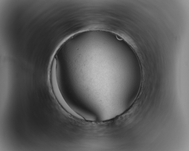 X0000094820912200711161525