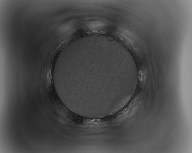 X0000094820915200711161524