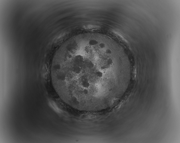X0000094820917200711161525