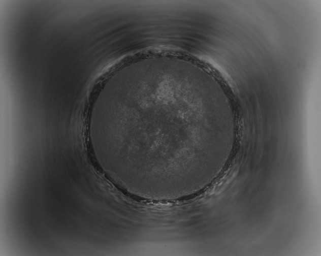X0000094820919200711161525