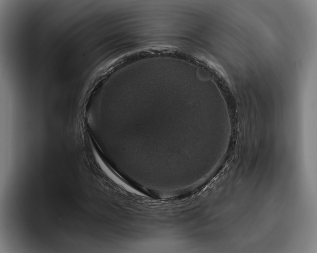 X0000094820920200711161525