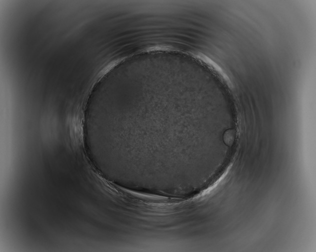 X0000094820921200711161525