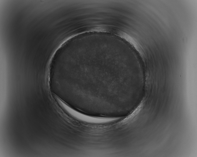 X0000094820923200711161525
