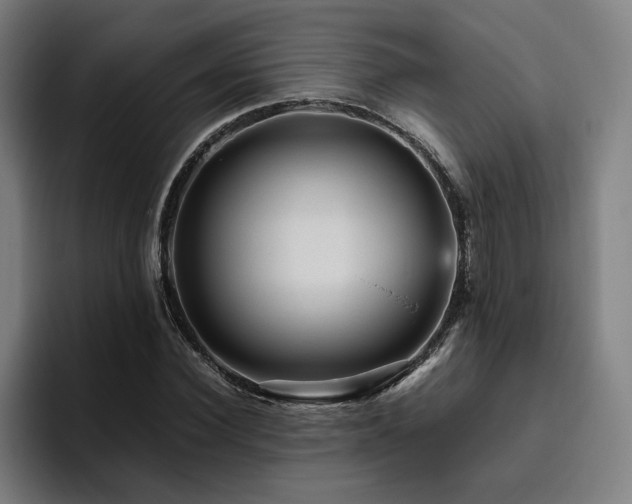 X0000094820924200711161525