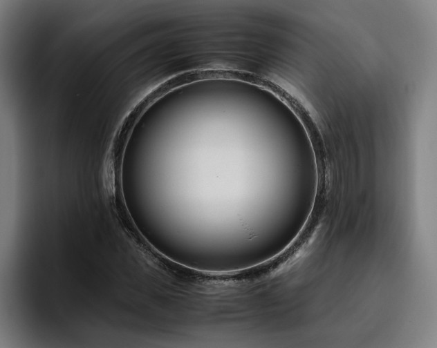 X0000094820925200711161525