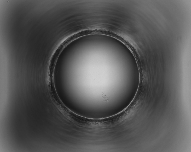 X0000094820927200711161525