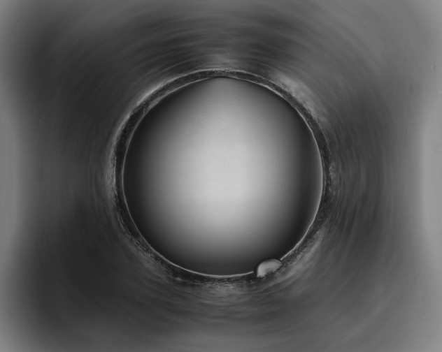X0000094820931200711161525