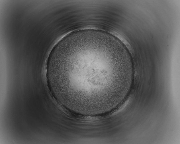 X0000094820933200711161525