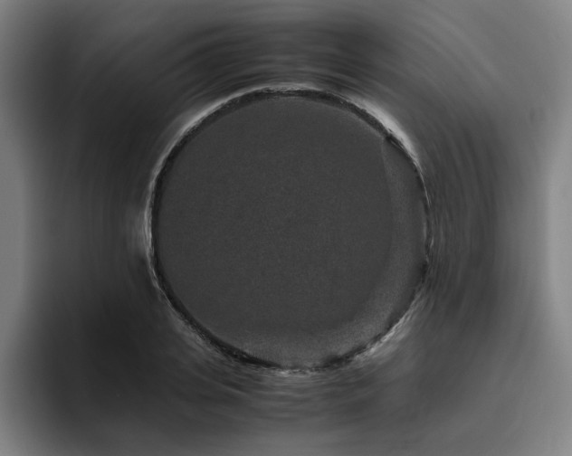 X0000094820935200711161525