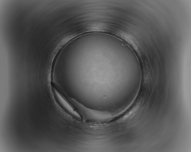 X0000094820938200711161525