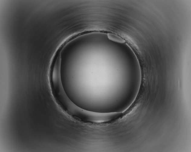 X0000094820942200711161525