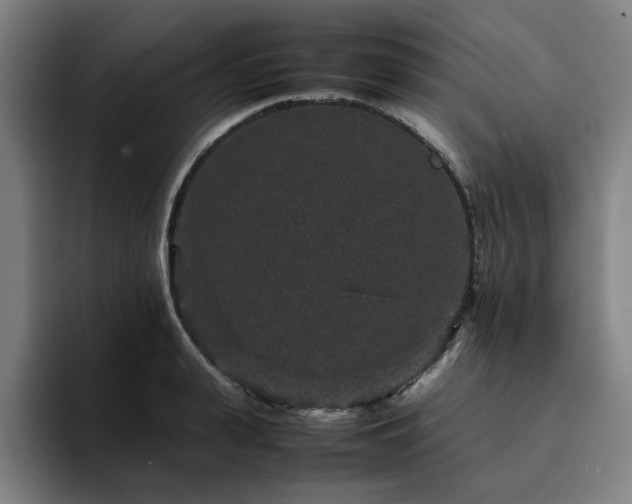 X0000094820943200711161525