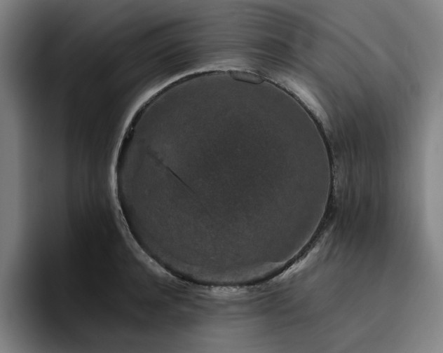 X0000094820944200711161525