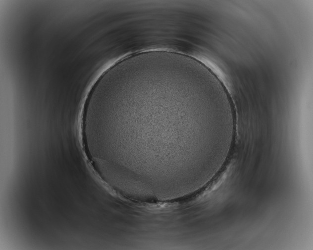 X0000094820949200711161525