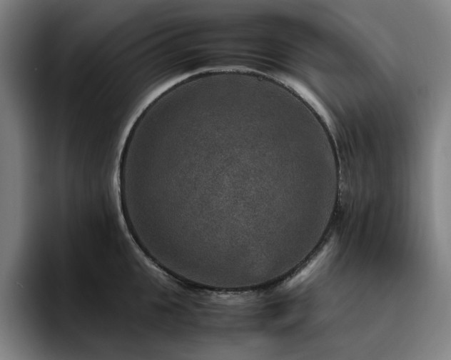 X0000094820951200711161525