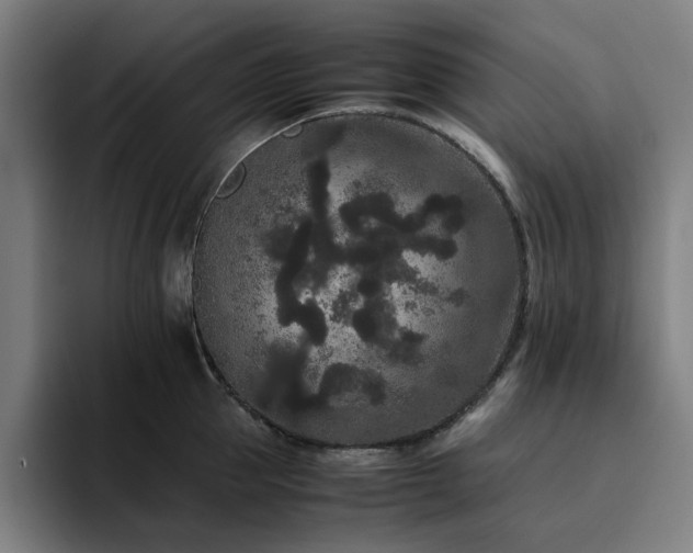 X0000094820953200711161525