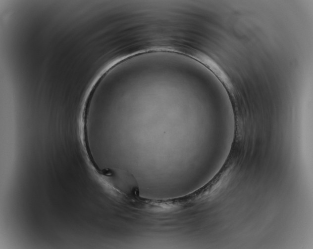 X0000094820955200711161525