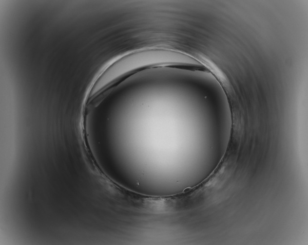 X0000094820956200711161525