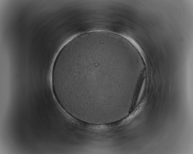 X0000094820957200711161525