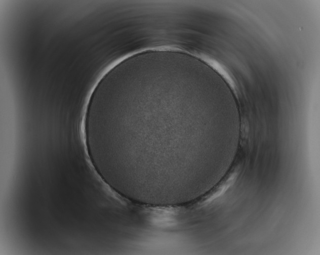 X0000094820959200711161525