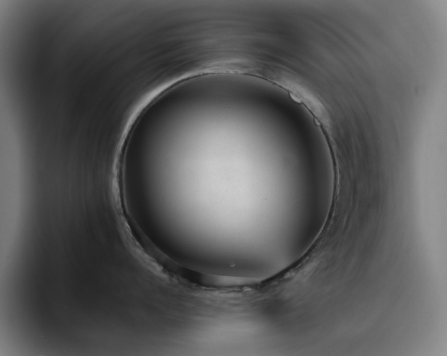 X0000094820960200711161525
