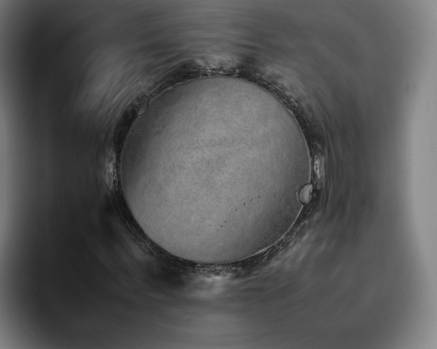 X0000094820963200711161524