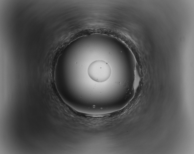 X0000094820965200711161524