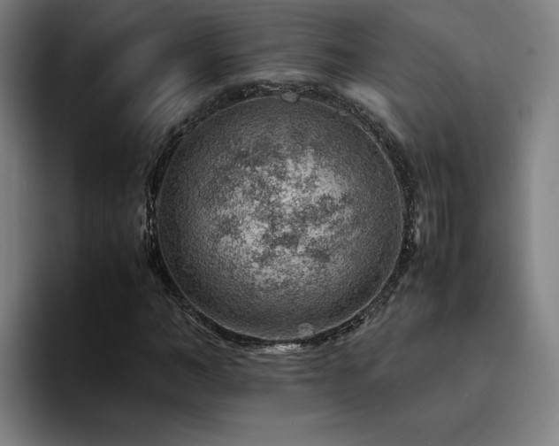 X0000094820966200711161524