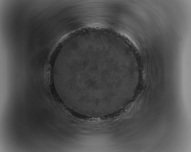 X0000094820968200711161524