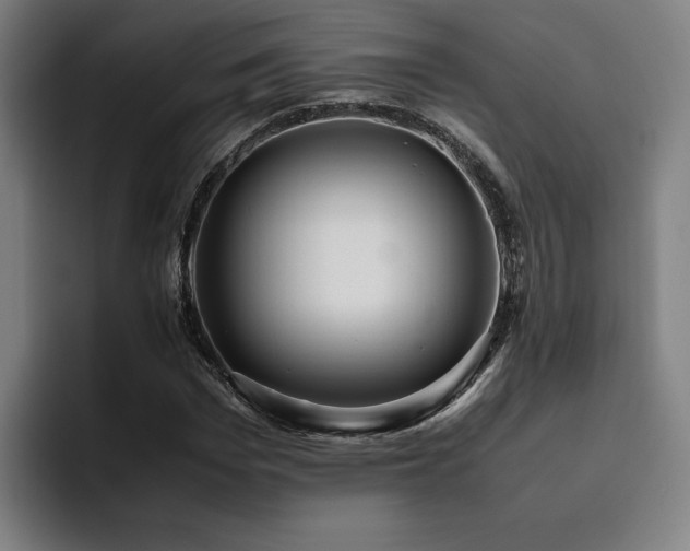 X0000094820969200711161524