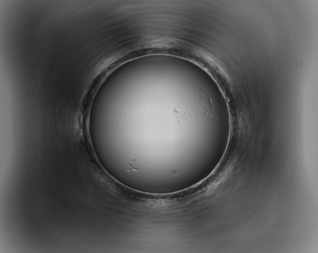 X0000094820970200711161524