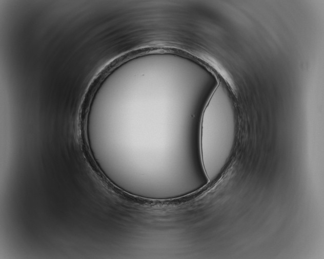X0000094820972200711161524