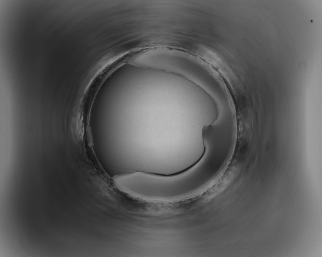 X0000094820973200711161524