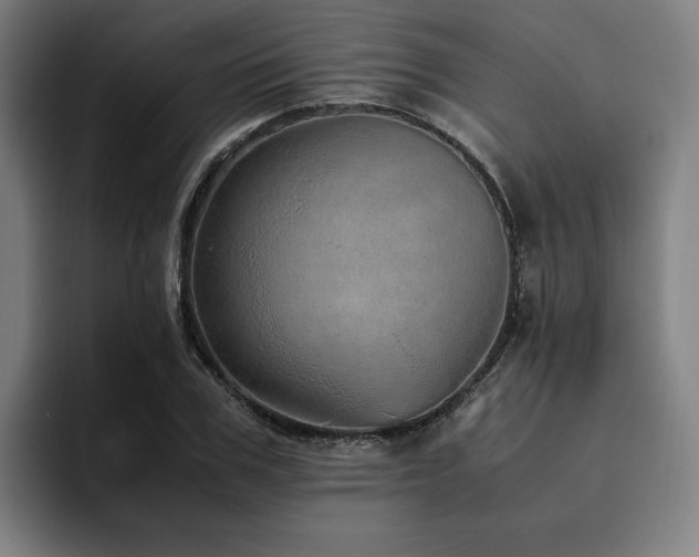 X0000094820979200711161524