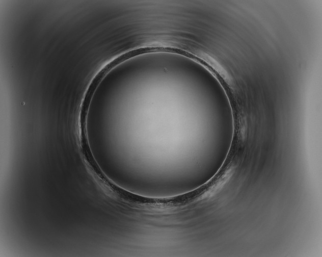 X0000094820980200711161524
