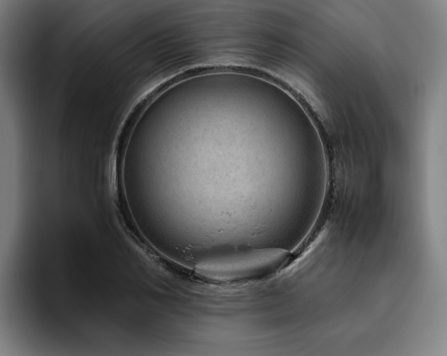 X0000094820982200711161524
