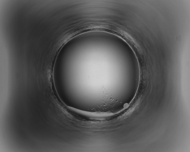 X0000094820985200711161524