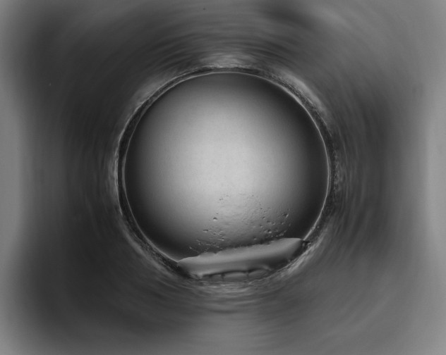 X0000094820986200711161524