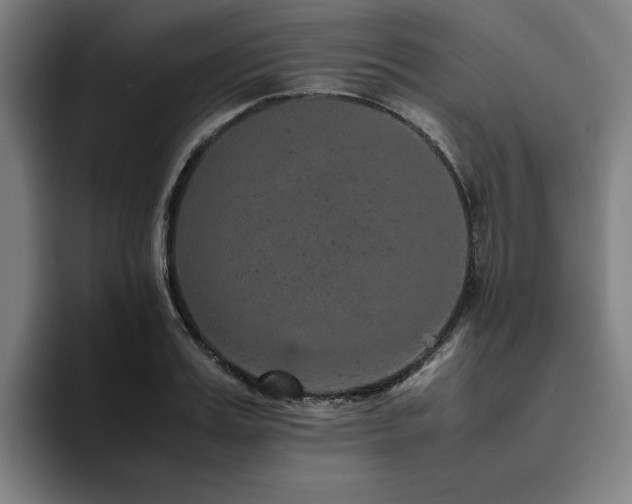X0000094820987200711161524