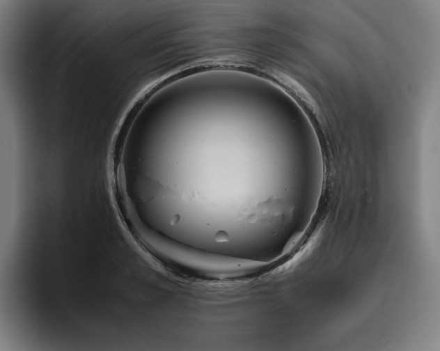 X0000094820989200711161524