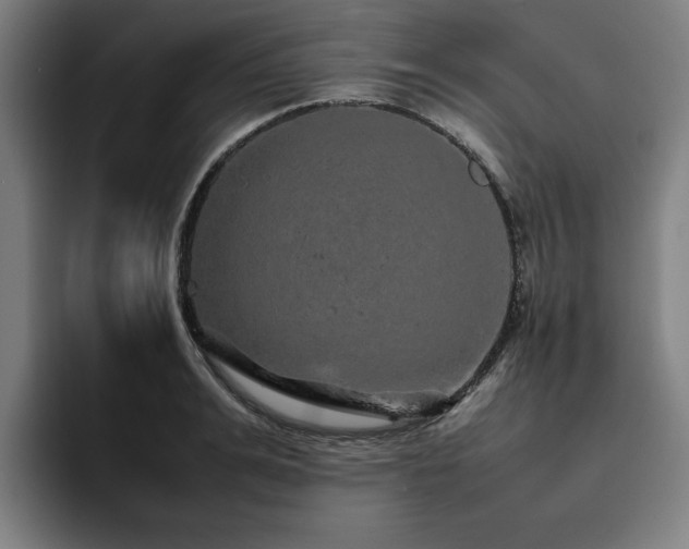 X0000094820991200711161524