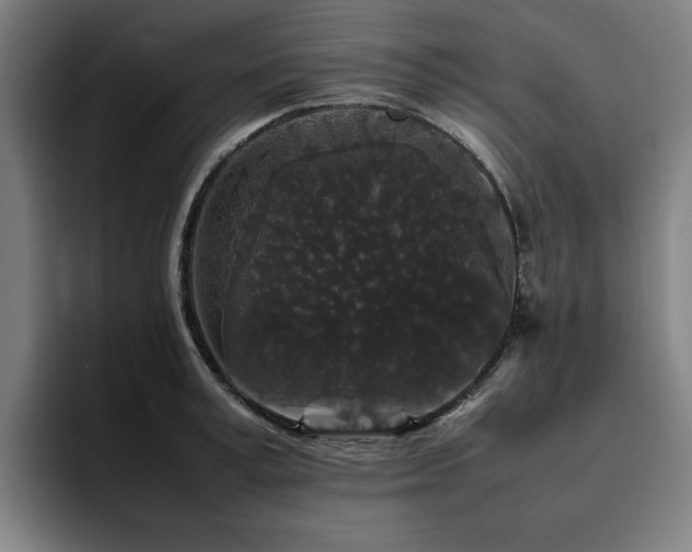 X0000094820995200711161524