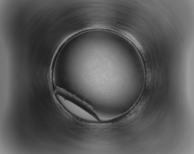 X0000094820996200711161524