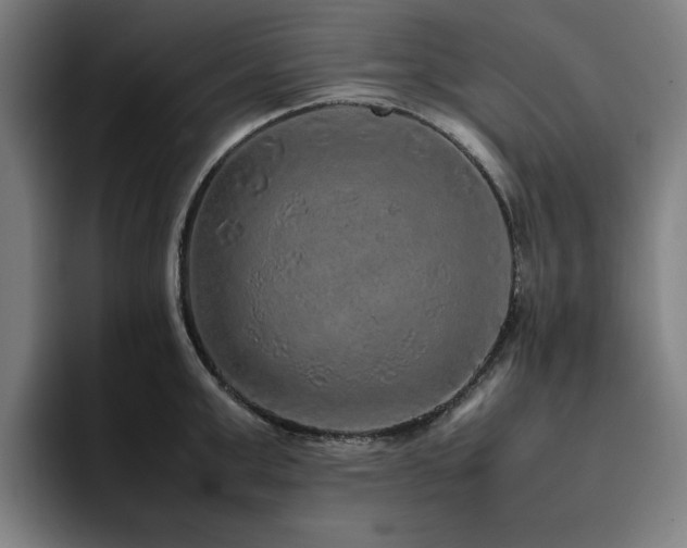 X0000094820999200711161524