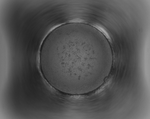 X0000094821000200711161524