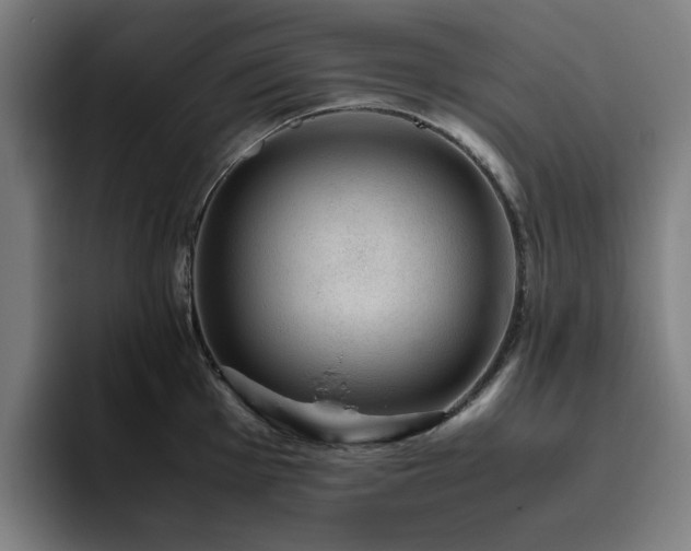 X0000094821001200711161524
