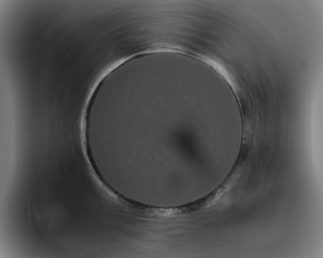 X0000094821003200711161524