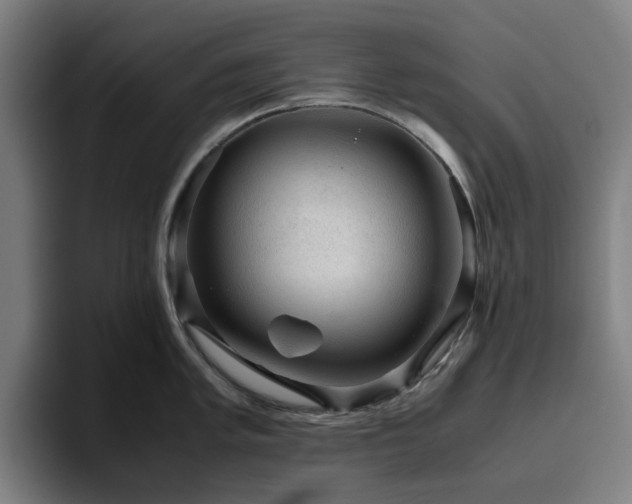 X0000094821005200711161524